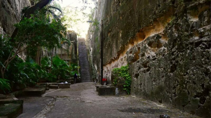 Nassau City Tour: Discover the Charms of Old Charles Town - Final Thoughts
