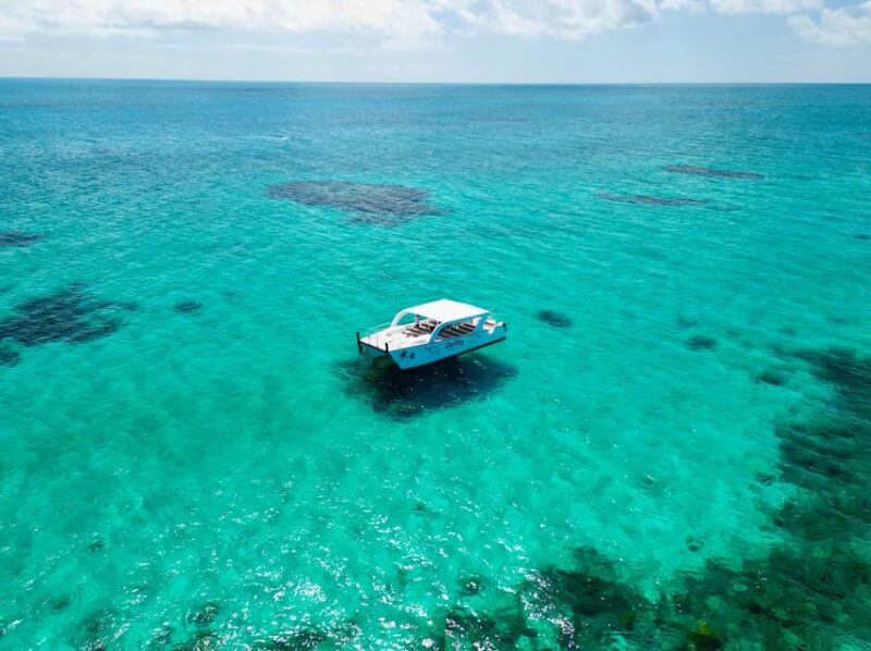 Nassau: Da Pig Beach, Snorkeling, Turtles & Junkanoo Village - Snorkeling in Coral Reefs