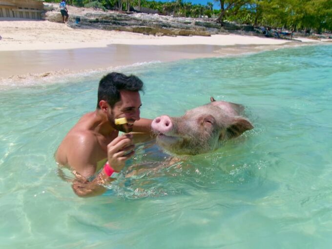 Nassau: Da Pig Beach, Snorkeling, Turtles & Junkanoo Village - Recap