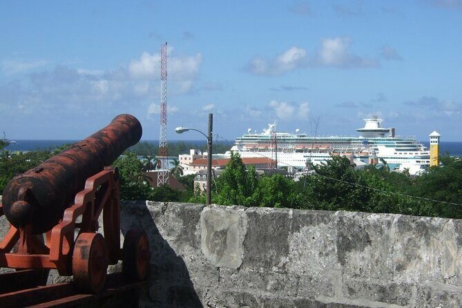 Nassau Family Friendly City Tour - Who Should Consider This Tour?