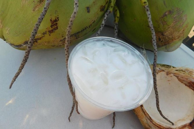 Nassau Food and History Bus Tour - Inclusions and Logistics