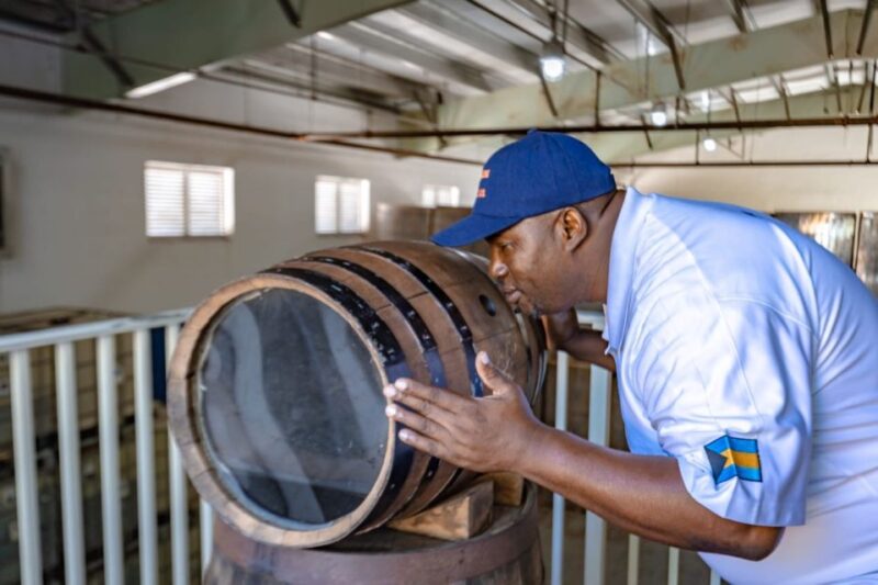 Nassau: Historical Sightseeing Guided Half-Day Tour - Transportation and Logistics