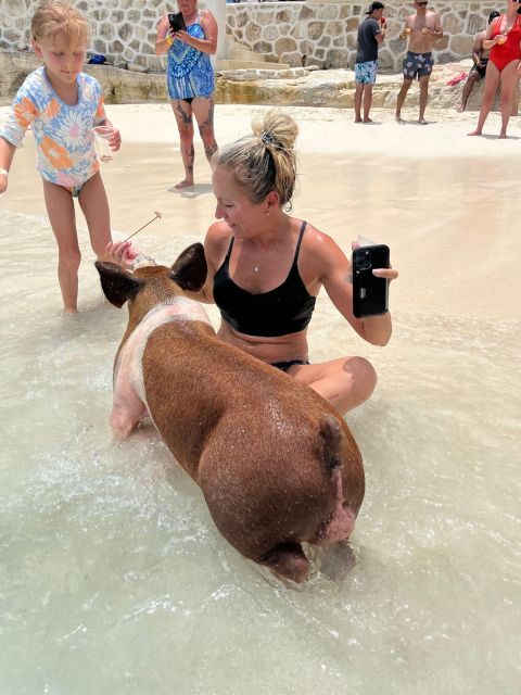 Nassau: Pigs, Snorkeling, Turtles, Lunch, Private Beach Club - Key Points
