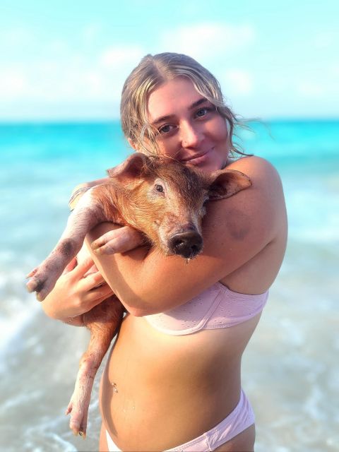 Nassau: Pigs, Snorkeling, Turtles, Lunch, Private Beach Club - Itinerary and Activities