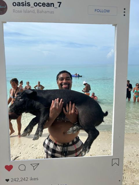 Nassau: Pigs, Snorkeling, Turtles, Lunch, Private Beach Club - Snorkeling Reef Exploration