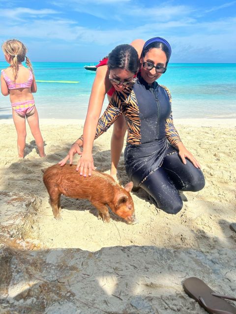 Nassau: Pigs, Snorkeling, Turtles, Lunch, Private Beach Club - Observing Green Cay Turtles