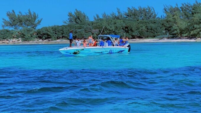 Nassau: Pigs, Snorkeling, Turtles, Lunch, Private Beach Club - Customer Experiences and Reviews