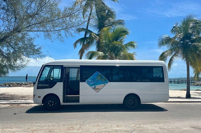 Nassau Private Airport & Cruise Port Transfer - Who Will Love This Service?