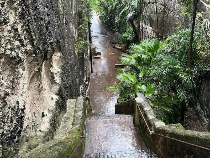 Nassau: Private Historical and National Heritage Car Tour - Important Information