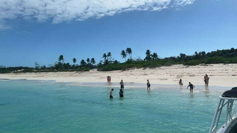 Nassau: Private Island & Snorkeling, Turtles, Drinks, & BBQ - Authentic Experiences & Real Traveler Insights