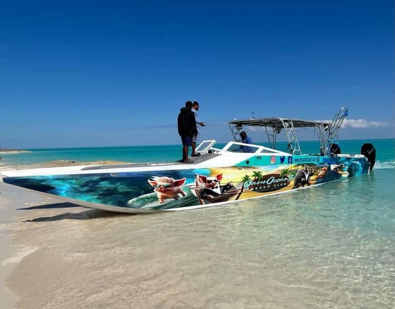Nassau: Reef Snorkeling, Turtles, Lunch & Private Beach Club - Final Thoughts