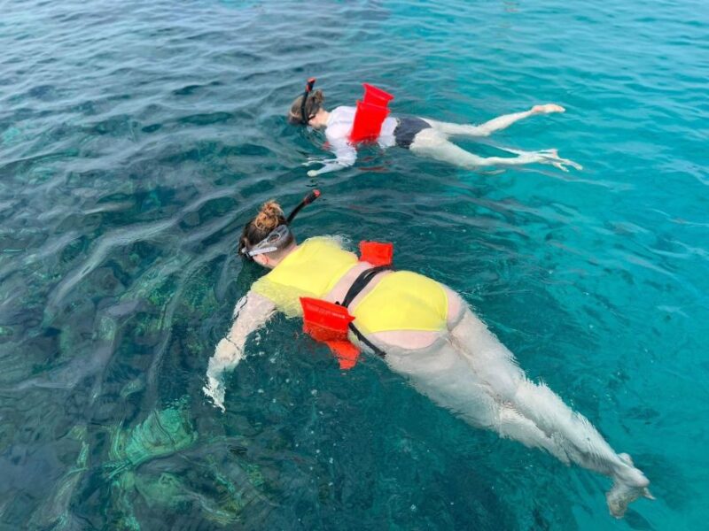Nassau: Reef Snorkeling, Turtles, Lunch & Private Beach Club - Relaxation at 007s Private Beach Club