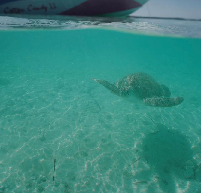 Nassau: Reef Snorkeling, Turtles, Lunch & Private Beach Club - Important Information and Restrictions
