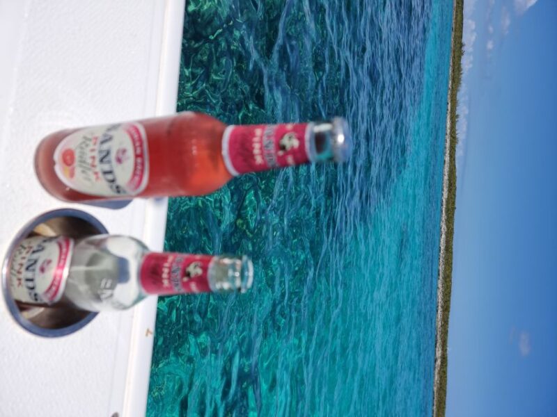 Nassau: Rose Island Snorkel, Turtles & Beach Speedboat Tour - Experience Highlights