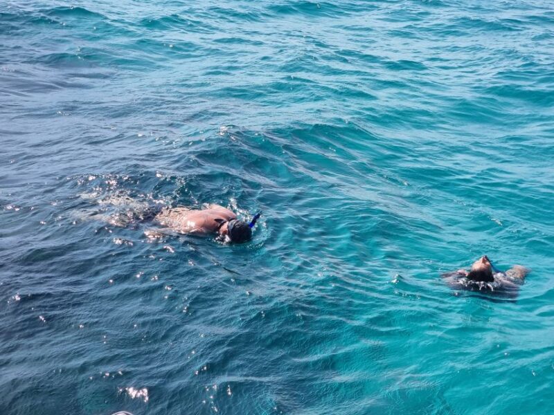 Nassau: Rose Island Snorkel, Turtles & Beach Speedboat Tour - Inclusions