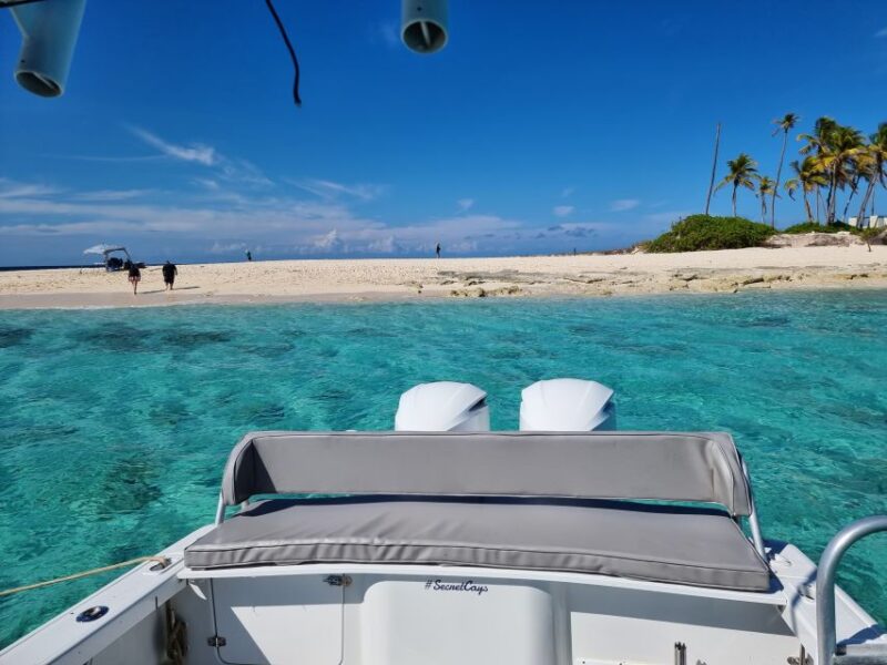Nassau: Rose Island Snorkel, Turtles & Beach Speedboat Tour - Important Information