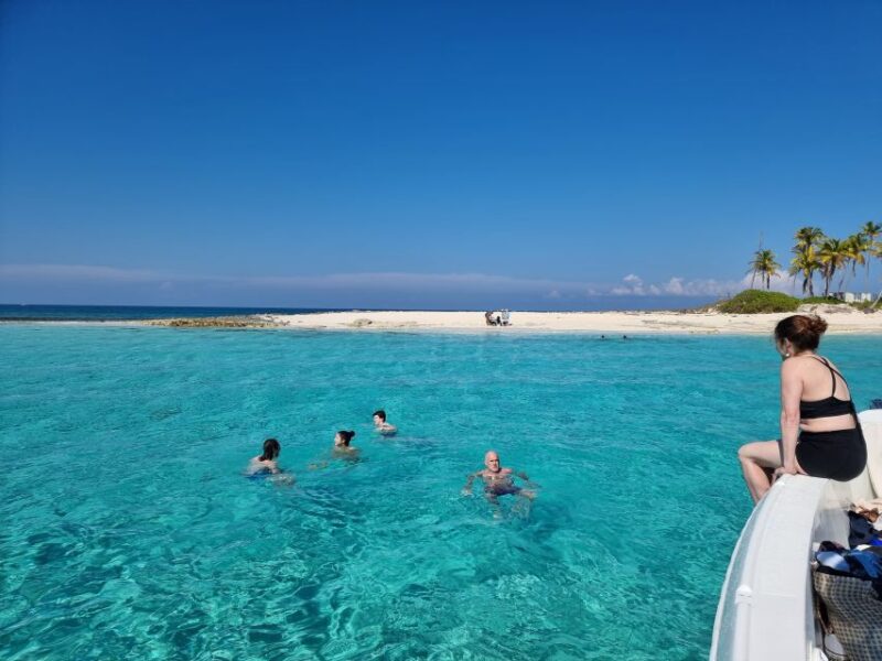 Nassau: Rose Island Swimming Pigs & Turtles Snorkeling Tour - Inclusions