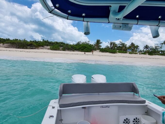 Nassau: Rose Island Swimming Pigs & Turtles Snorkeling Tour - Recommendations