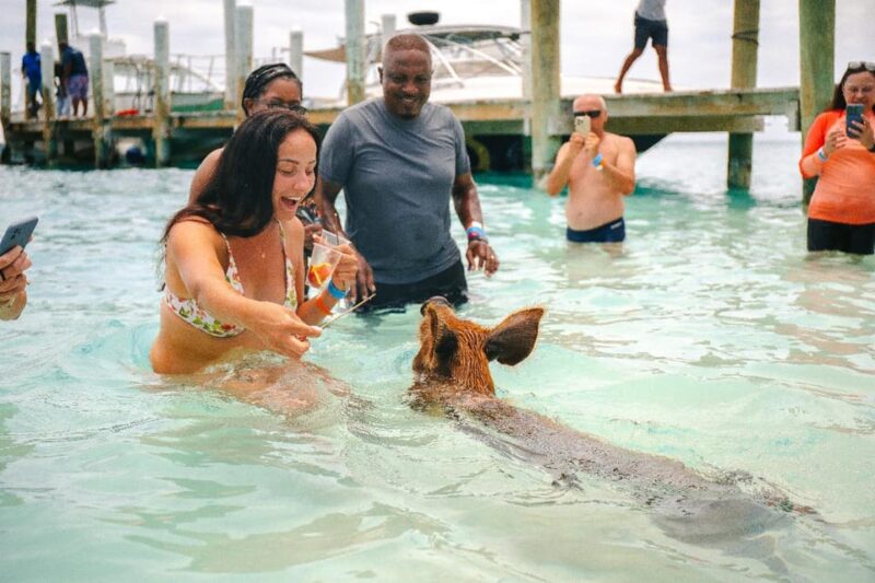Nassau: Rose Islands Sand Dollar Beach Resort With Lunch - What to Bring and Restrictions