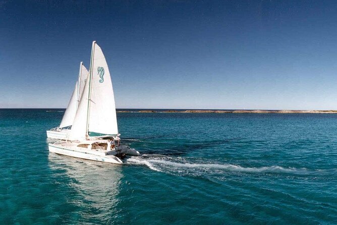 Nassau: Sail & Snorkel With 1 Hr. Open Bar - Customer Feedback