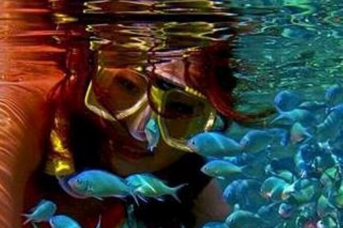 Nassau: Sail & Snorkel With 1 Hr. Open Bar - Cancellation Policy