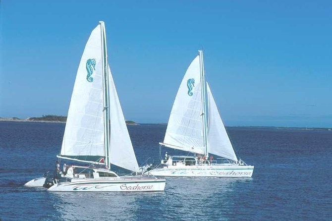Nassau: Sail & Snorkel With 1 Hr. Open Bar - Cruise Ship Passengers