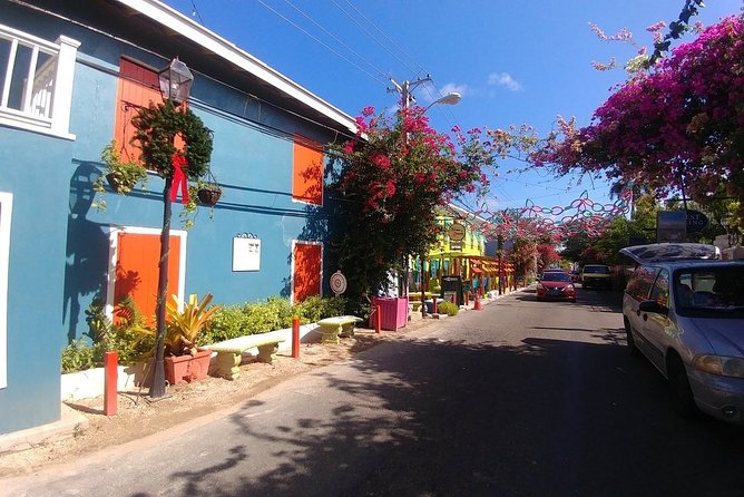 Nassau Shore Excursion: Sightseeing and Snorkeling Tour - Customer Experiences