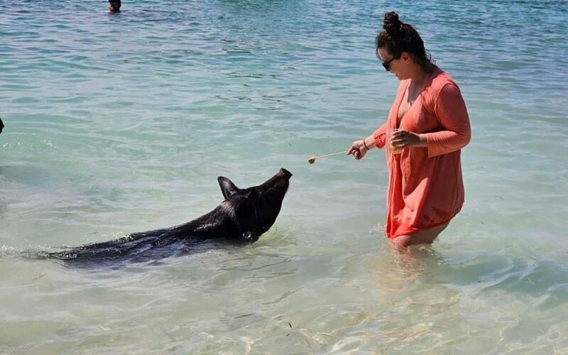 Nassau: Snorkeling, Pig Beach, Swim with Turtles, and Lunch - Nassau: Snorkeling, Pig Beach, Swim with Turtles, and Lunch — A Complete Guide