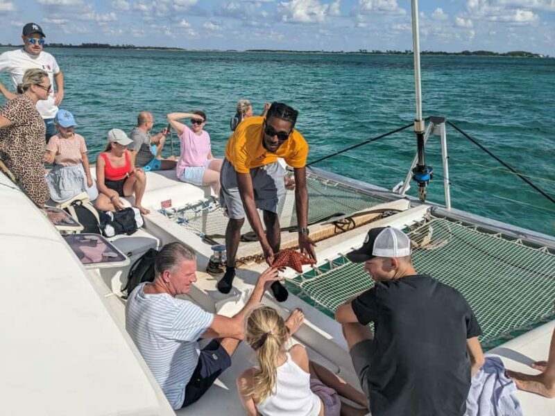 Nassau: Snorkeling, Pig Beach, Swim with Turtles, and Lunch - Key Points