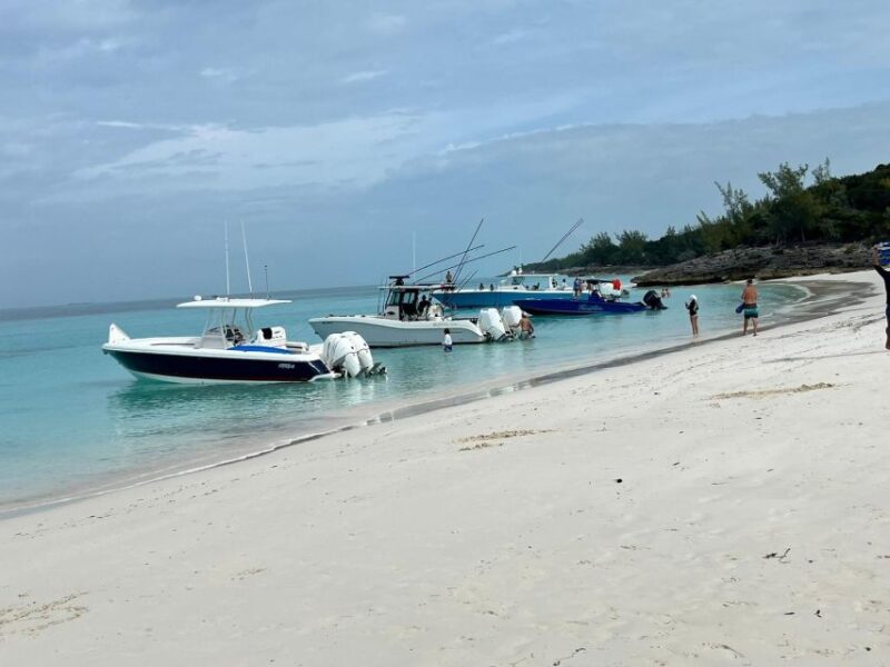 Nassau: Snorkeling, Swimming Pigs, Turtles & Beach Bar - Itinerary Highlights