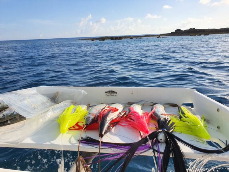 Nassau: Sport-Fishing Private Charter . - Included Activities