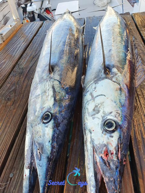 Nassau: Sport-Fishing Private Charter . - Customer Feedback
