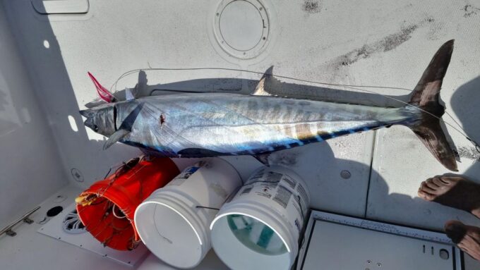 Nassau: Sport-Fishing Private Charter . - Frequently Asked Questions