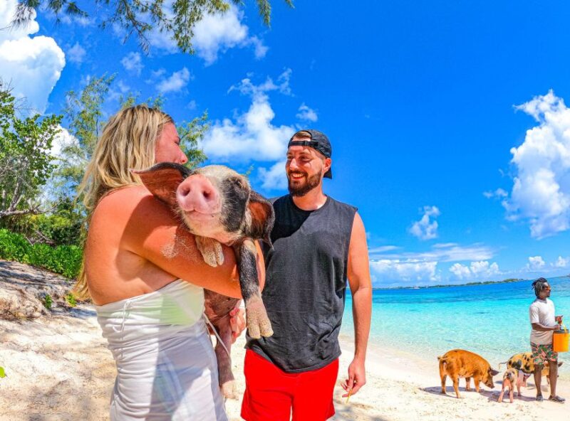 Nassau: Sun Cay and Swimming Pigs Boat Trip With Lunch - Included Amenities