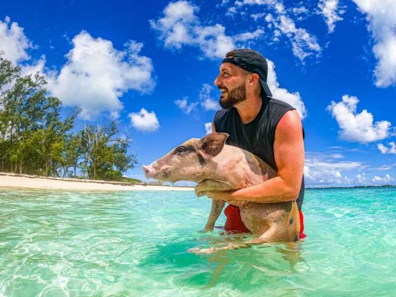 Nassau: Sun Cay and Swimming Pigs Boat Trip With Lunch - Important Information