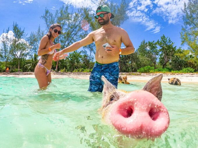 Nassau: Sun Cay and Swimming Pigs Boat Trip With Lunch - Bahamian Lunch