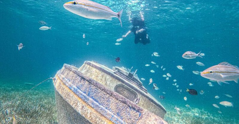 Nassau: Sun Cay Day Trip, Snorkel, Iguana Encounter, & Lunch - Activities and Experiences