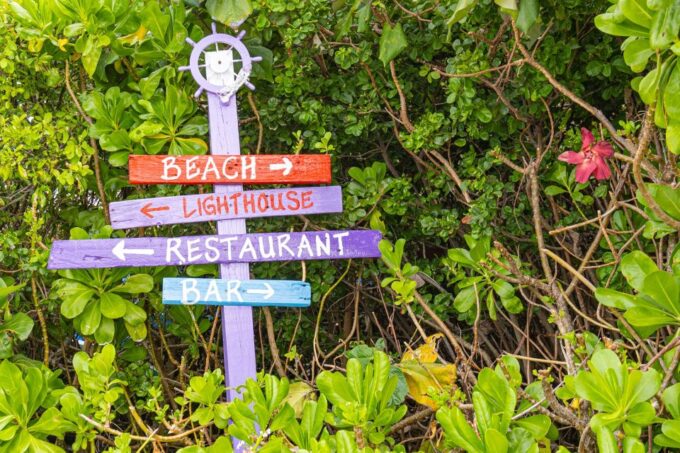 Nassau: Sun Cay Day Trip, Snorkel, Iguana Encounter, & Lunch - Iguana Habitat Encounter