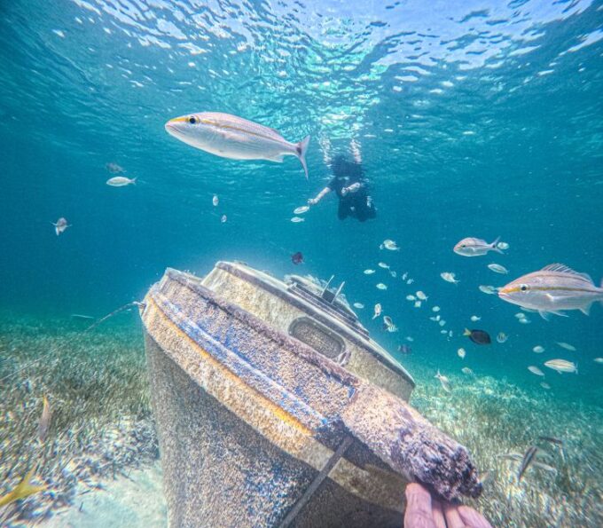 Nassau: Sun Cay Day Trip, Snorkel, Iguana Encounter, & Lunch - Frequently Asked Questions