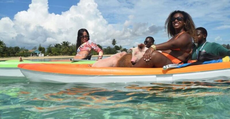 Nassau: Swim With Pigs & Scenic Boat Ride - Scenic Route to Fort Montague