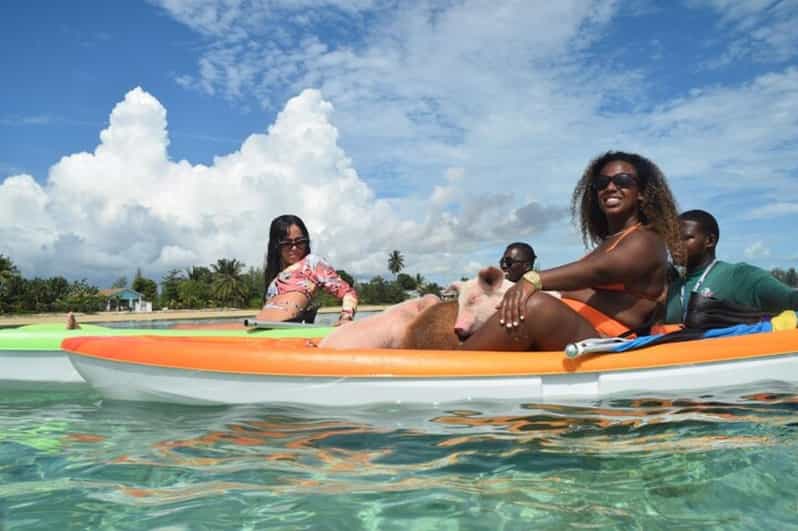 Nassau: Swim With Pigs & Scenic Boat Ride - Return Trip and Island Exploration
