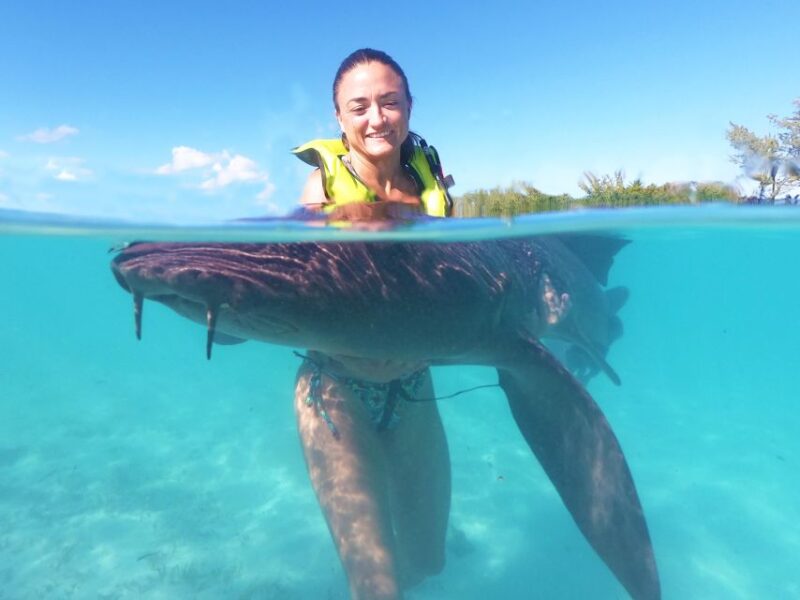 Nassau: Swim With Sharks, Swimming Pigs Tour - Key Points