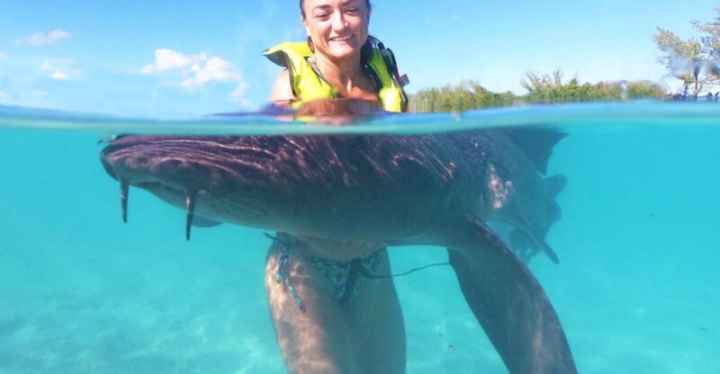 Nassau: Swim With Sharks, Swimming Pigs Tour - Itinerary