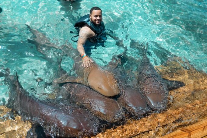 Nassau: Swim With Sharks, Swimming Pigs Tour - Safety Precautions