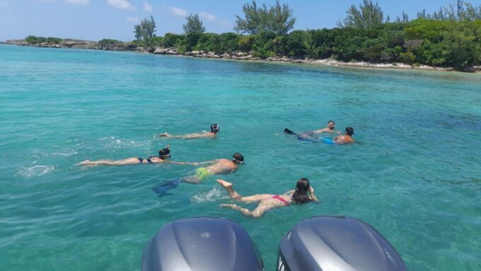 Nassau: Swim With Sharks, Swimming Pigs Tour - Frequently Asked Questions