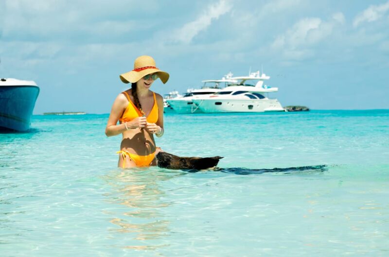 Nassau: Swimming Pigs 1.5-Hour Speedboat Trip With Drinks - Experience Highlights