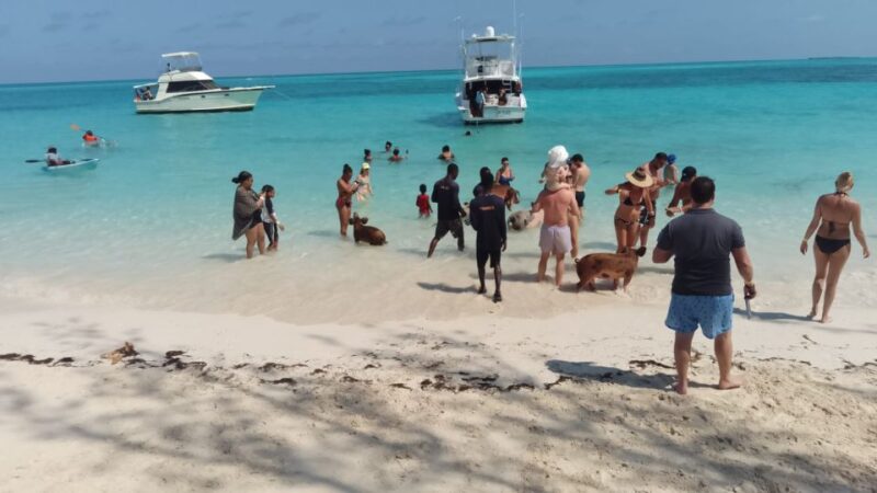 Nassau: Swimming Pigs Private Boat Tour - Up to 7 Persons - Itinerary Details