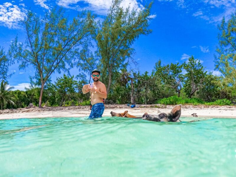 Nassau: Swimming Pigs, Snorkeling and Beach Boat Tour - Frequently Asked Questions