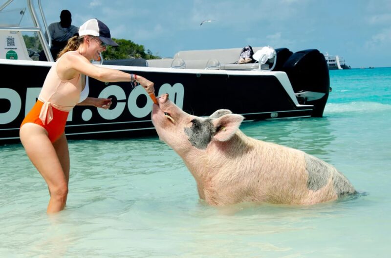 Nassau: Swimming Pigs & Snorkeling Boat Tour With Drinks - Pearl Island Bahamas