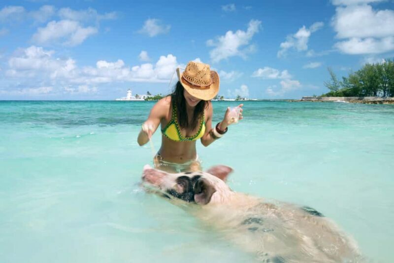 Nassau: Swimming Pigs, Snorkeling, Lunch, & Beach Boat Tour - An Overview of the Experience